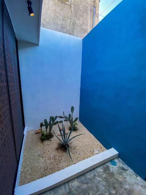 فيلا Modern Casa With Pool 7 Mins From Centro 5Min La Plancha Park ميريدا المظهر الخارجي الصورة